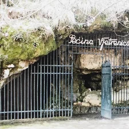 Joja Διαμέρισμα